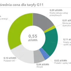 Struktura ceny prądu w Polsce: koszty zakupu energii, przesyłu, dystrybucji, marża, VAT, akcyza i podatki.