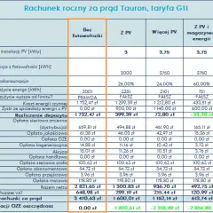Tauron Taryfa G11 - Ile kosztuje? Cennik