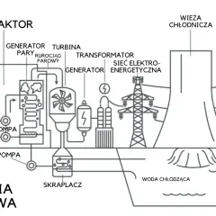 Schemat działania elektrowni jądrowej: reaktor, turbina, generator, transformator, wieża chłodnicza i sieć energetyczna.