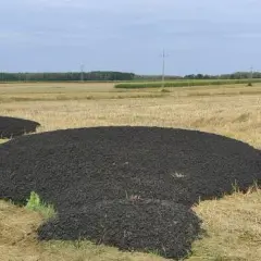Osad z oczyszczalni na pole: prawne zasady i bezpieczne stosowanie nawozów