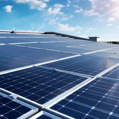Panele Trina Solar – opinie, ceny i najlepsze modele - Firma Trina