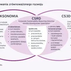 Raport zrównoważonego rozwoju: Kluczowe informacje i przykłady firm