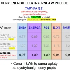 Ile kosztuje kWh prądu Tauron w 2025? Aktualna cena za kWh energii elektrycznej