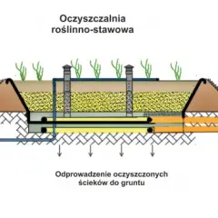 Oczyszczalnia trzcinowa schemat: kompletna budowa systemu biologicznego
