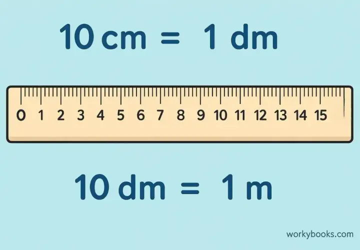 Linijka pokazuje, ile to 1 dm: 10 cm to 1 decymetr, a 10 decymetrów to 1 metr.