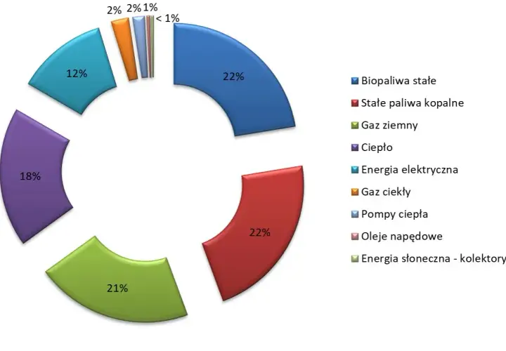Wykres kołowy pokazuje strukturę zużycia energii w Polsce: 22% gaz ziemny, 22% stałe paliwa kopalne, 21% ciepło, 18% energia elektryczna, 12% biopaliwa stałe, a pozostałe źródła poniżej 2%.