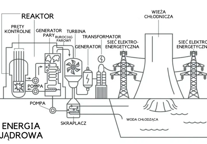 Schemat działania elektrowni jądrowej: reaktor, turbina, generator, transformator, wieża chłodnicza i sieć energetyczna.