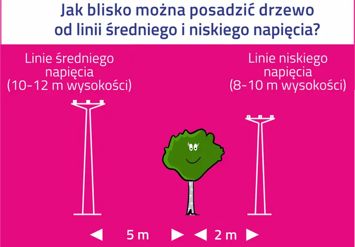 Ilustracja pokazuje, jak daleko od linii średniego i niskiego napięcia można sadzić drzewa. Linie wysokiego napięcia wymagają większego odstępu.