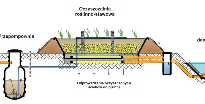 Oczyszczalnia trzcinowa schemat: kompletna budowa systemu biologicznego