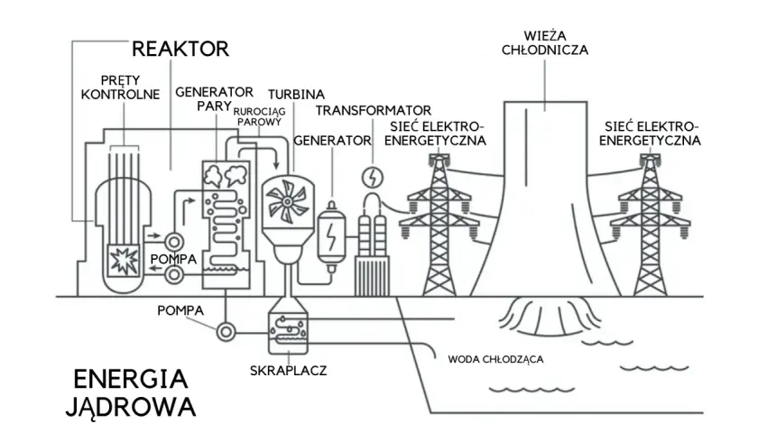 Schemat działania elektrowni jądrowej: reaktor, turbina, generator, transformator, wieża chłodnicza i sieć energetyczna.