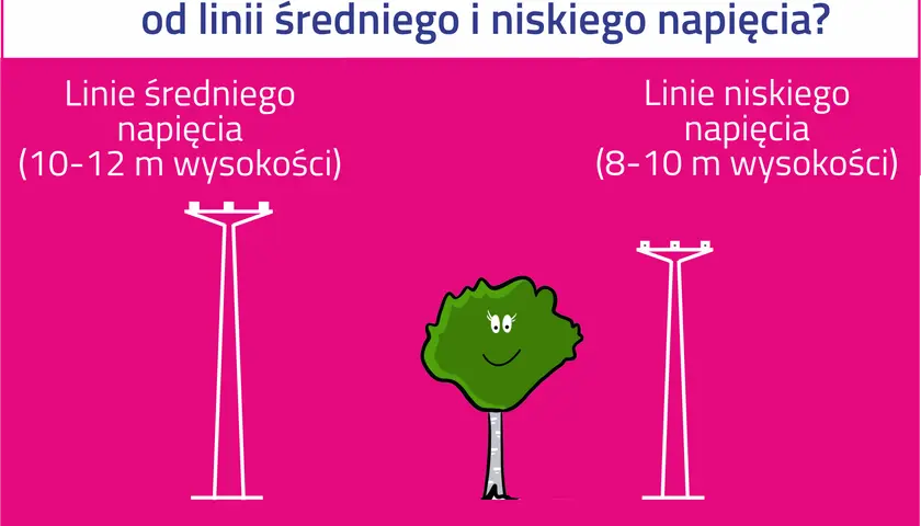 Ilustracja pokazuje, jak daleko od linii średniego i niskiego napięcia można sadzić drzewa. Linie wysokiego napięcia wymagają większego odstępu.