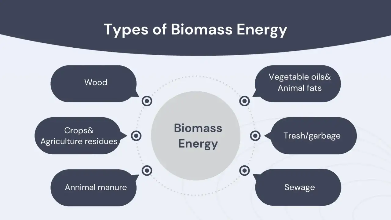 Rodzaje energii z biomasy: drewno, uprawy, odpady rolnicze, obornik, oleje roślinne, tłuszcze zwierzęce, śmieci, ścieki. Biomasa to materia organiczna.